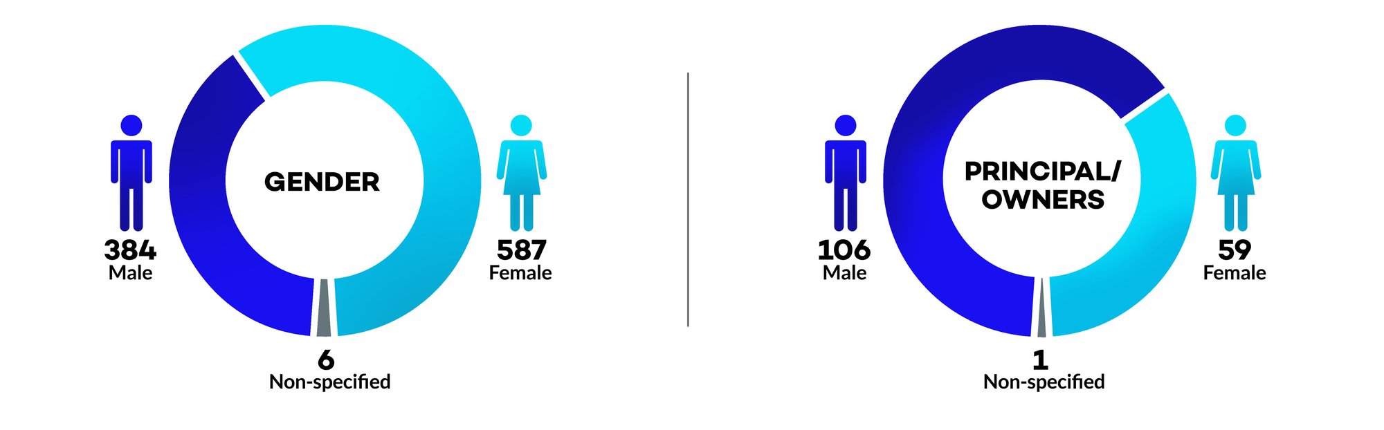 Gender Pie Chart_update (1)